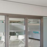 B. Braun Senhora da Hora