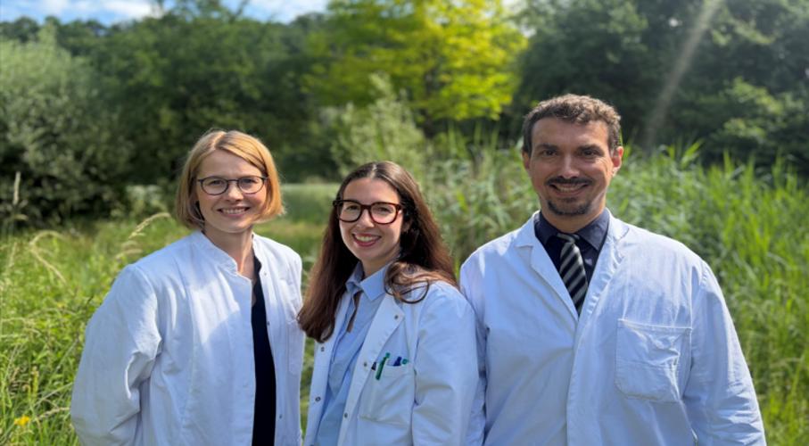 B. Braun Medical Care AG Hochfelden
