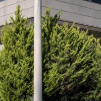 KIDNEY CENTER OF ATHENS - PAN HEALTH GROUP