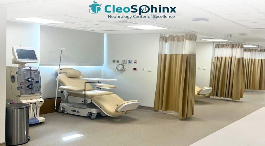 Sphinx Kidney Center - Cleopatra El-Tagamoa