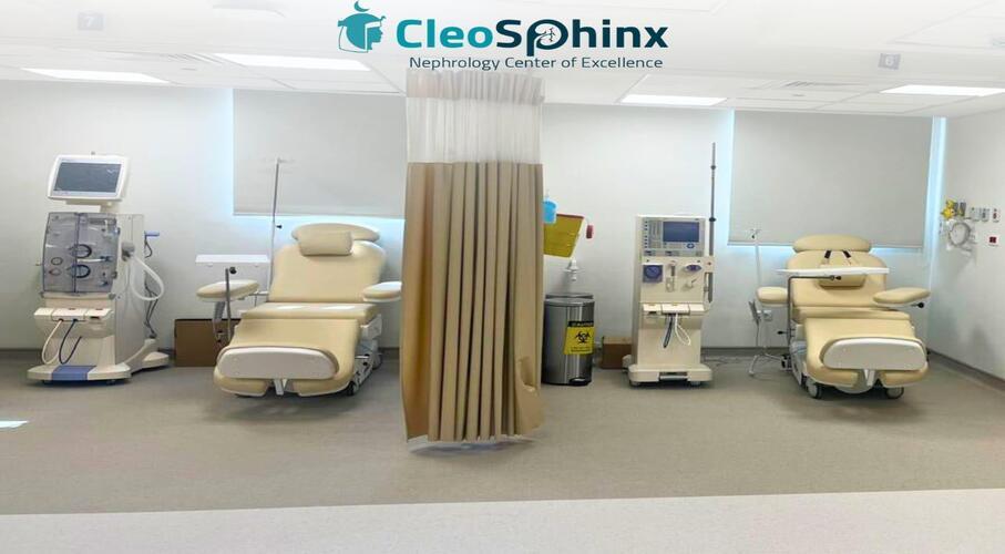 Sphinx Kidney Center - Cleopatra El-Tagamoa